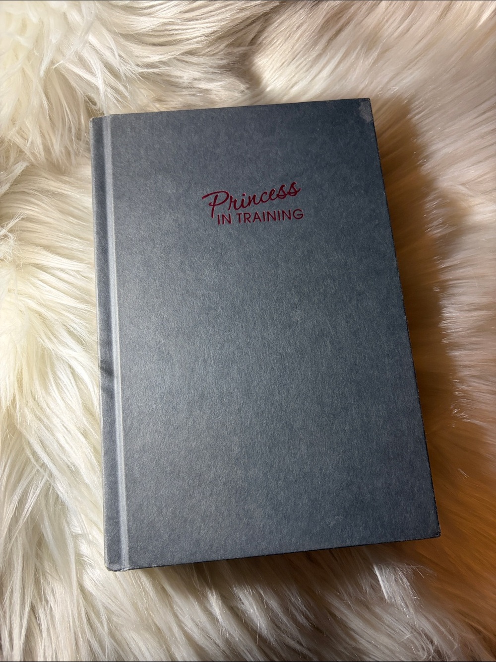 📚 3 for $15 📚 Princess In Training Gray Hardcover book